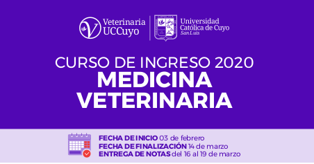 Captura de pantalla de 2019 12 18 13 54 36